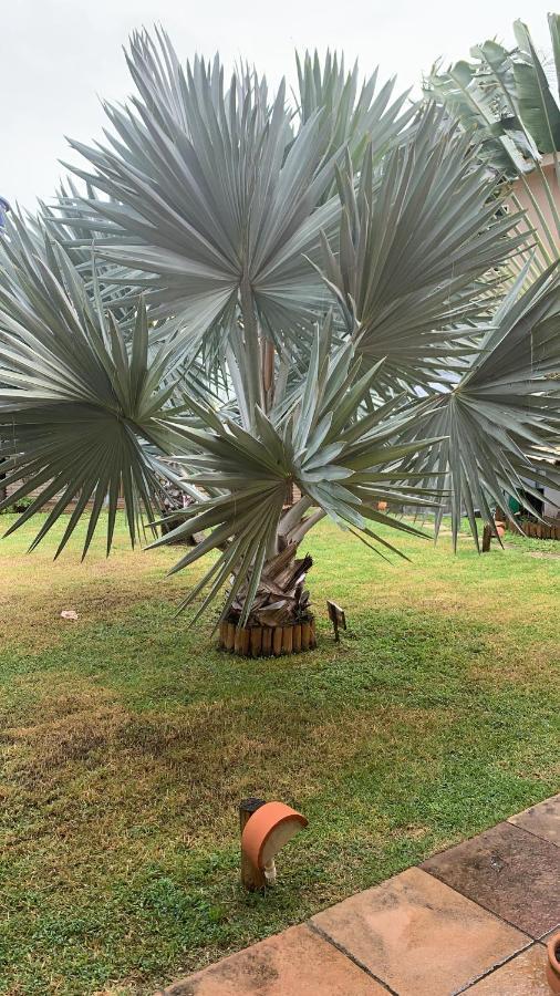 B&B Villa Borromeo Salvador Bagian luar foto