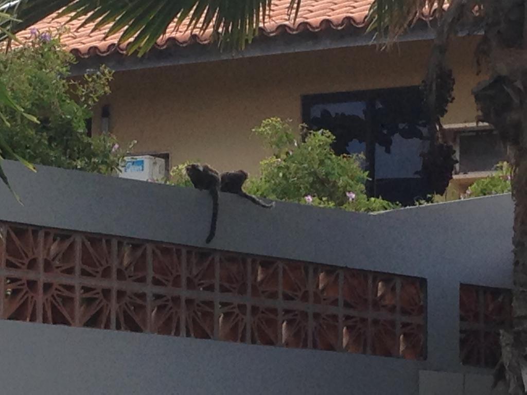 B&B Villa Borromeo Salvador Bagian luar foto
